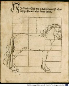 Dises buchlein zeyget an und lernet ein masz oder proporcio der Ross (Nurmberg, 1528)