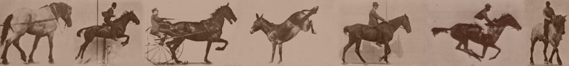 chronophotographies de Muybridge