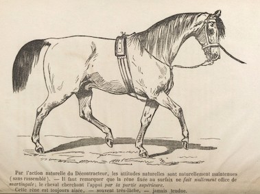 Éloge du mors de son invention dont Casimir Noël fait une panacée universelle