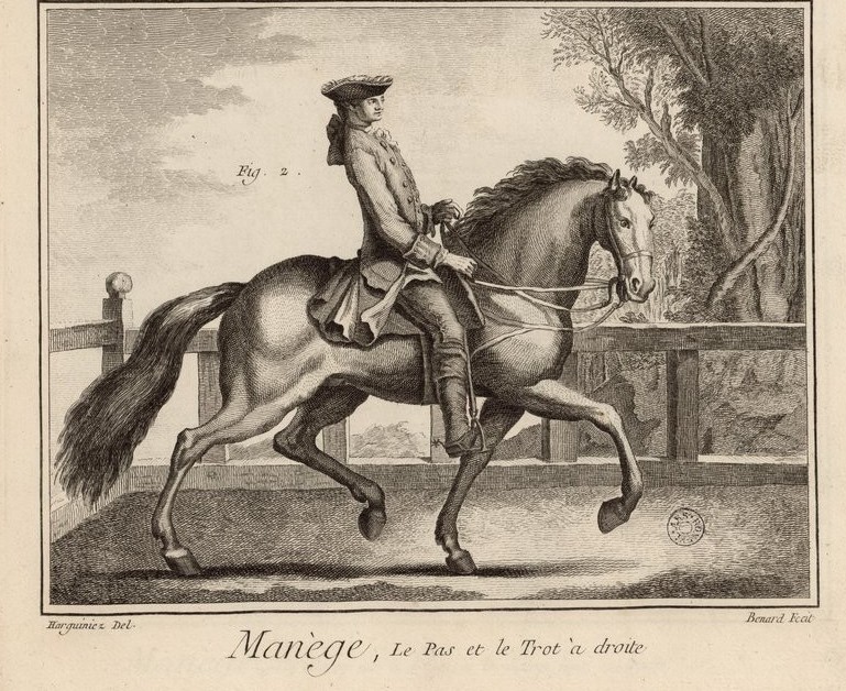 Planche Manège et équitation - L'Encyclopédie de Diderot et D'Alembert.