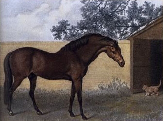 Godolphin_Arabian_Stubb — 1792