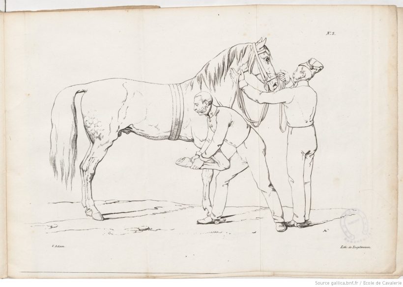Constantin Balassa - Traité de la ferrure sans contrainte — 1828