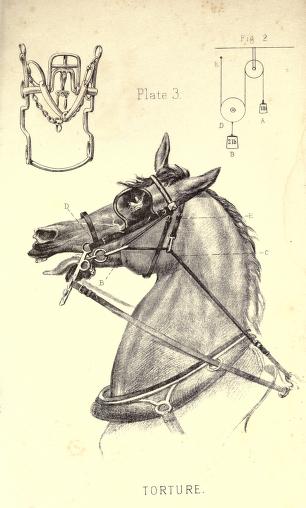 Flower — Bits bearing reins — 1885