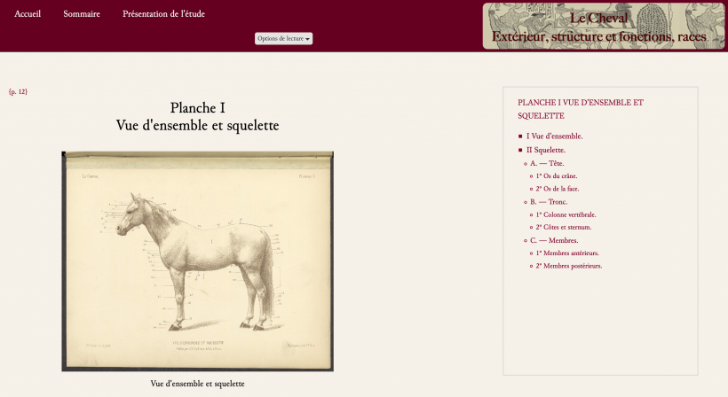 Le cheval. Extérieur, structure et fonctions, races — 1886