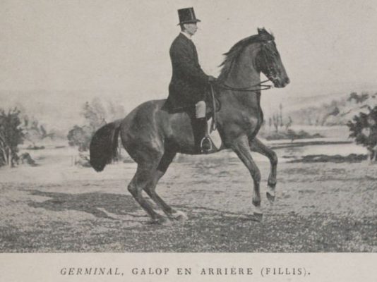 James Fillis sur Germinal au galop arrière