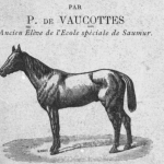 Paul de Vaucottes