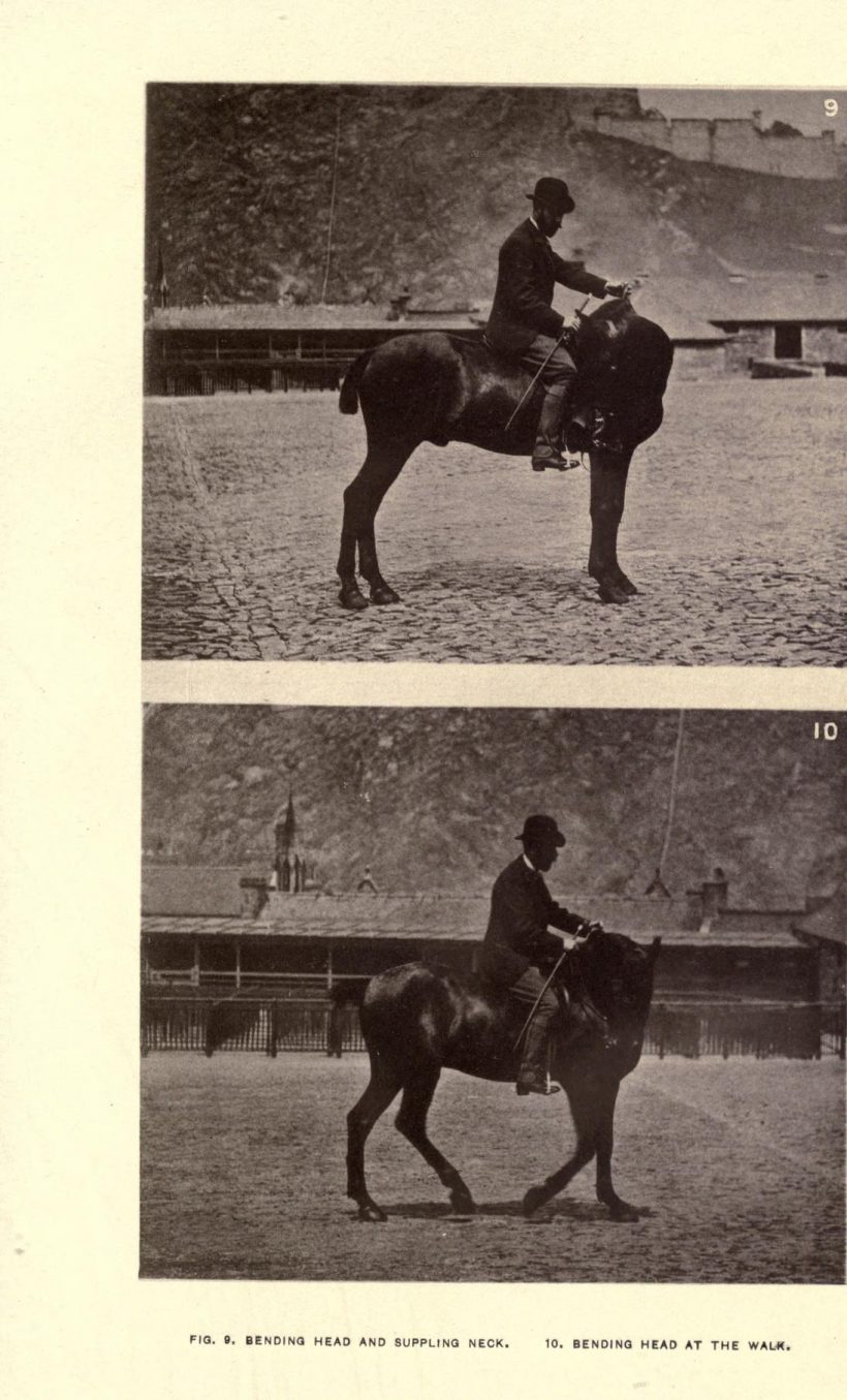 Edward L. Anderson, Modern horsemanship, 1886