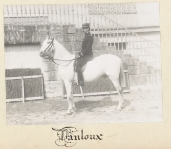 Danloux