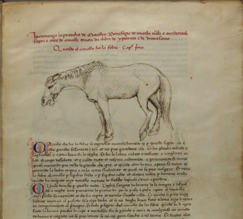 De’ cavalli [MS it.464] / BONIFAZIO, XVe siècle