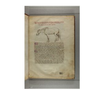 De’ cavalli [MS it.464] / BONIFAZIO, XVe siècle, p.1