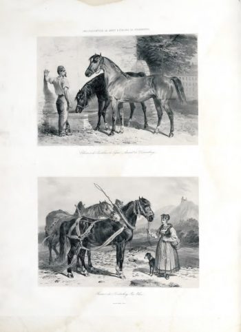 F.-H. Lalaisse — Atlas statistique, E. Gayot, 1850 (Ifce)