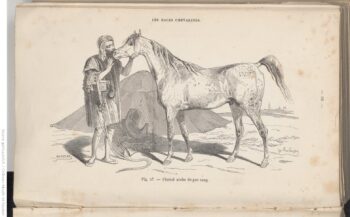 F.-H. Lalaisse — La connaissance générale du cheval, E. Gayot et L. Moll, 1861 (Gallica)