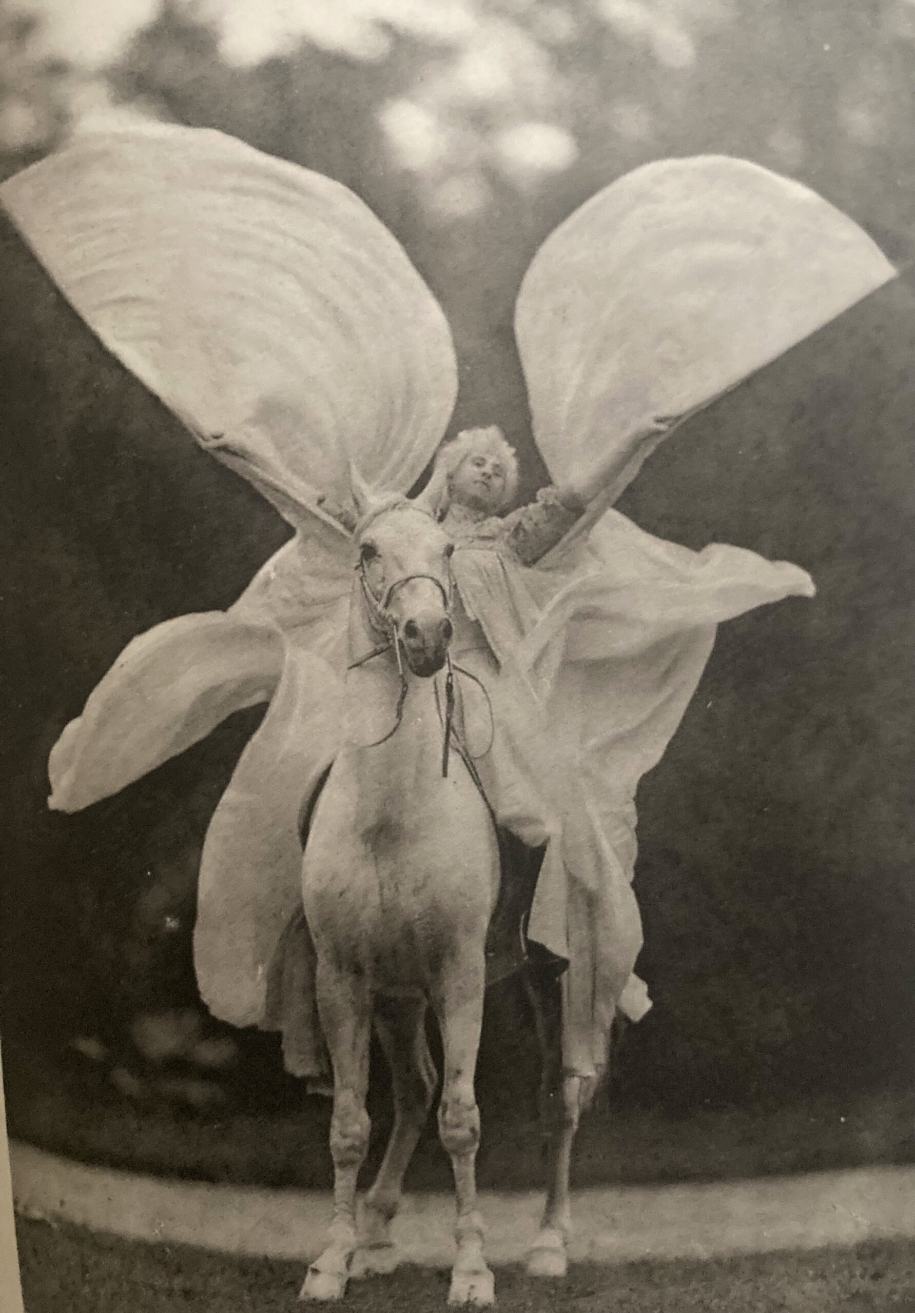 Thérèze Renz présente "la Loïe Fuller à cheval", au Nouveau cirque en 1904 - Studio Delton