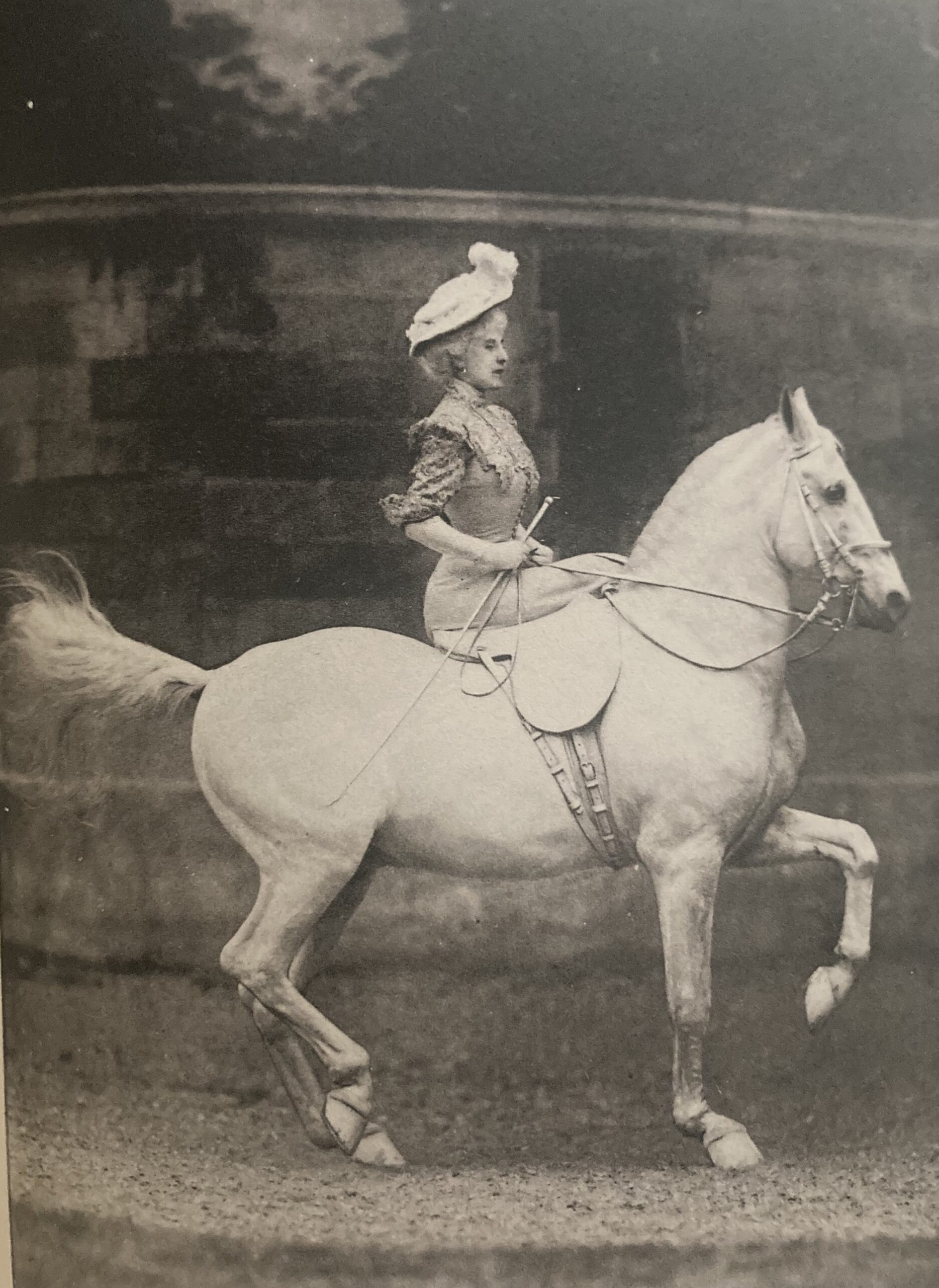Thérèze Renz présente "le cheval de marbre", au Nouveau cirque en 1904 - Studio Delton